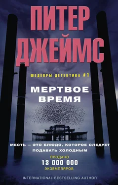 Питер Джеймс Мертвое время обложка книги