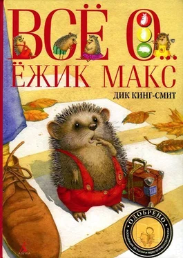 Дик Кинг-Смит Магнус-Супермыш обложка книги