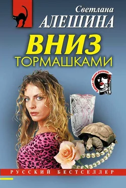 Светлана Алешина Вниз тормашками обложка книги