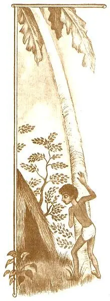 Джонти направился было к шалашу как вдруг остановился испуганный в шалаше - фото 27