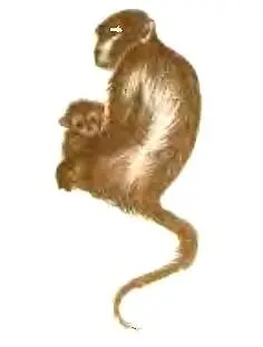 Рассказы Бхишам Сахни Вступление в жизнь Уже третий день разбухшие от воды - фото 32