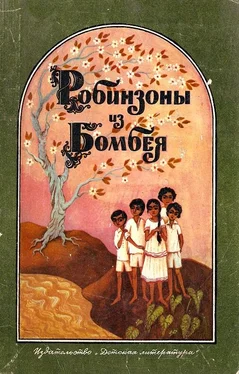 Сатьяпракаш Агарвал Робинзоны из Бомбея обложка книги