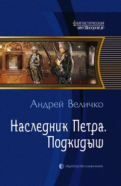 Андрей Величко Наследник Петра. Подкидыш обложка книги