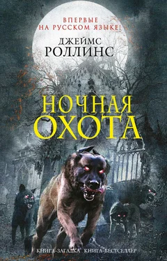 Ребекка Кантрелл Ночная охота (сборник) обложка книги