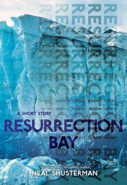 Neal Shusterman Resurrection Bay обложка книги