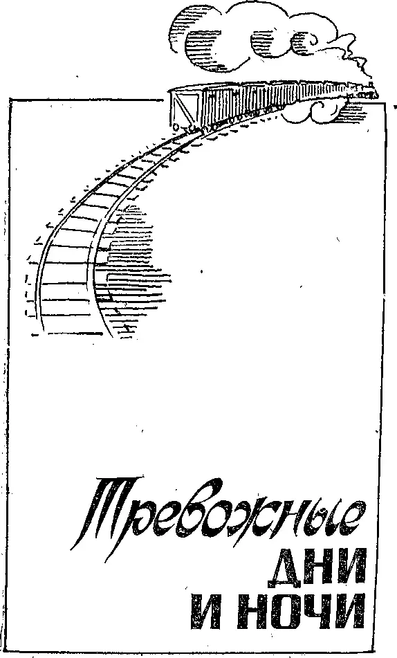 Выстрел Он появился в нашем ауле года за три до начала колхозного - фото 4