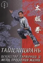 Лин Ван - Тайцзицюань. Искусство гармонии и метод продления жизни
