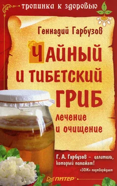 Геннадий Гарбузов Чайный и тибетский гриб: лечение и очищение обложка книги