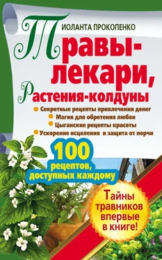 Иоланта Прокопенко Травы-лекари, растения-колдуны. 100 рецептов, доступных каждому обложка книги