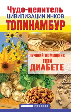 Андрей Новиков Чудо-целитель цивилизации инков. Топинамбур. Лучший помощник при диабете