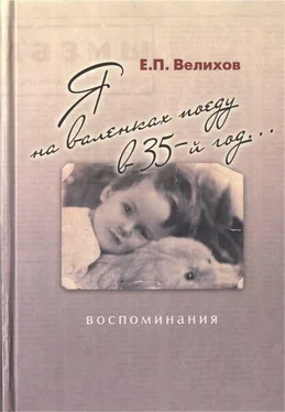 Евгений Велихов Я на валенках поеду в 35-й год... Воспоминания обложка книги