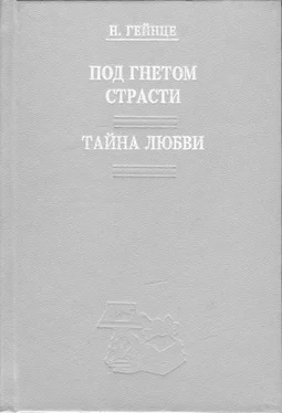 Николай Гейнце Тайна любви обложка книги