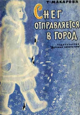 Татьяна Макарова Снег отправляется в город обложка книги