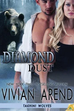 Vivian Arend Diamond Dust обложка книги