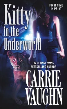 Carrie Vaughn Kitty in the Underworld обложка книги