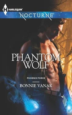 Bonnie Vanak Phantom Wolf обложка книги