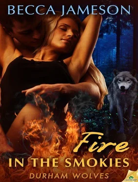 Becca Jameson Fire in the Smokies обложка книги