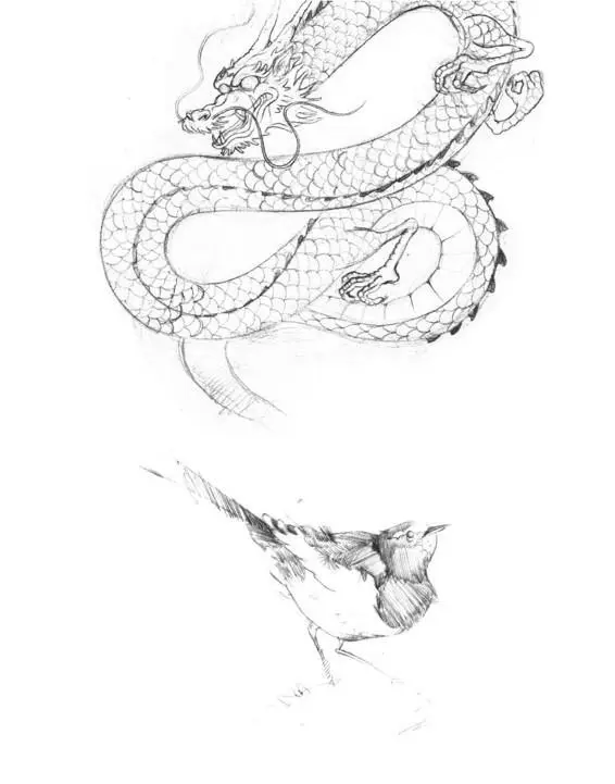 A QA WITH ROSS SIU INTERIOR SKETCH ARTIST WHERE WERE YOU BORN AND RAISED - фото 17