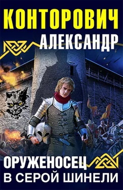 Александр Конторович Оруженосец в серой шинели обложка книги