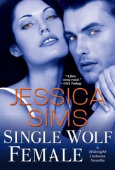 Jessica Sims - Single Wolf Female