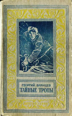 Георгий Брянцев Тайные тропы обложка книги