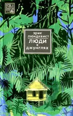 Эрик Люндквист Люди в джунглях обложка книги