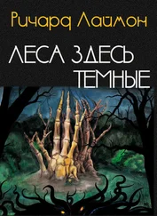 Ричарда Леймон - Леса здесь темные