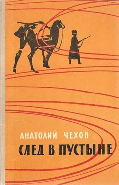 Анатолий Чехов След в пустыне обложка книги