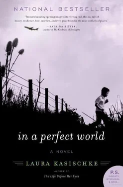 Laura Kasischke In a Perfect World обложка книги