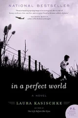 Laura Kasischke - In a Perfect World