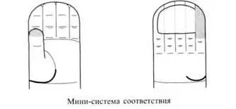 Рис65 Проекции головного мозга в стандартных системах соответствия в - фото 75