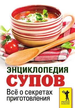 Сергей Кашин Энциклопедия супов. Всё о секретах приготовления обложка книги