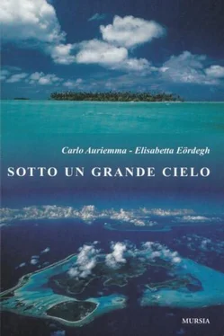 Карло Аурьемма Под необъятными небесами обложка книги