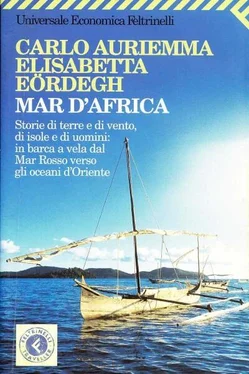 Карло Ауриемма Моря Африки обложка книги