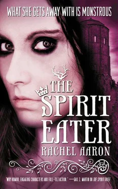 Rachel Aaron The Spirit Eater обложка книги