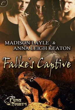 Madison Layle Falke’s Captive