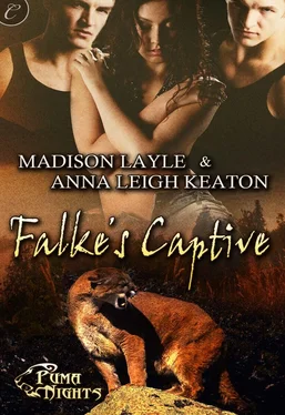 Madison Layle Falke’s Captive обложка книги