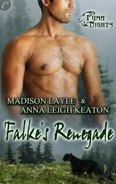 Anna Keaton Falke’s Renegade обложка книги