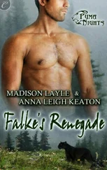 Anna Keaton - Falke’s Renegade