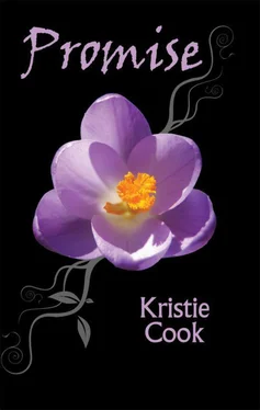 Kristie Cook Promise обложка книги