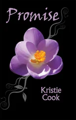 Kristie Cook - Promise