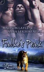 Anna Keaton - Falke’s Peak