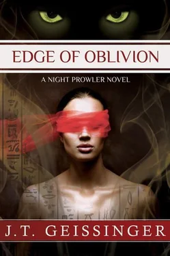 J. Geissinger Edge of Oblivion обложка книги