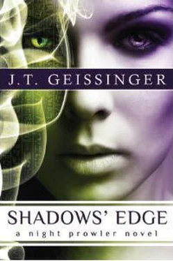 J. Geissinger Shadow’s Edge обложка книги