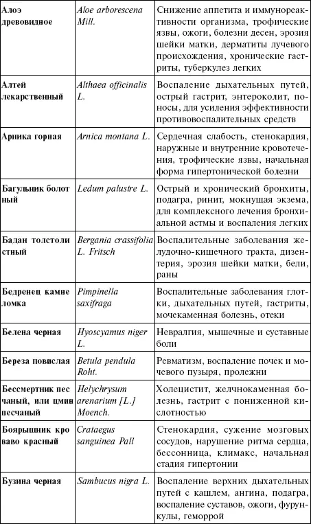 Лечебные чаи сборы настои - фото 14