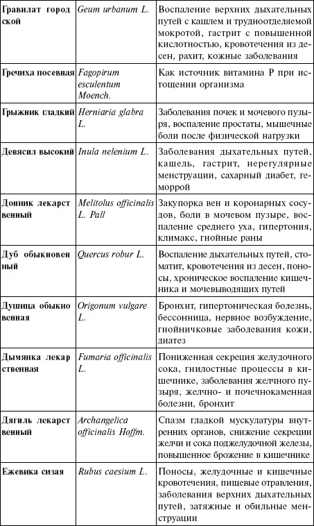 Лечебные чаи сборы настои - фото 16