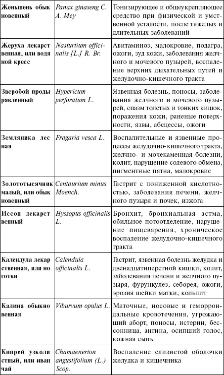 Лечебные чаи сборы настои - фото 17