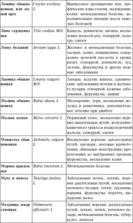 Лечебные чаи сборы настои - фото 19