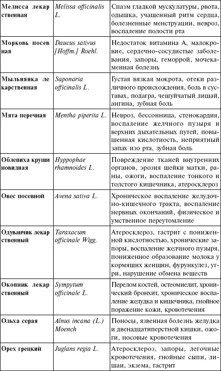 Лечебные чаи сборы настои - фото 20