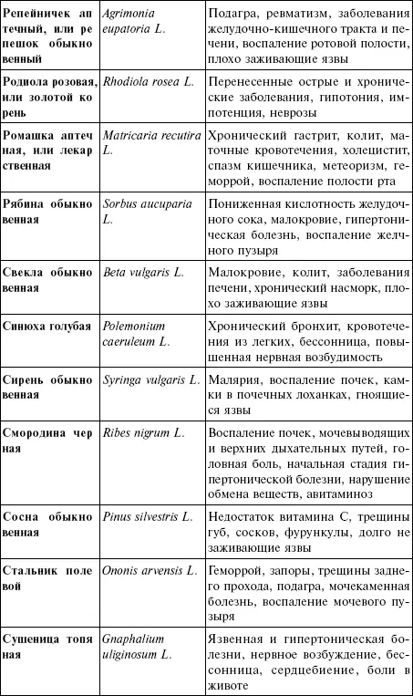 Приложение IV Таблица противопоказаний к применению лекарственных растений - фото 22